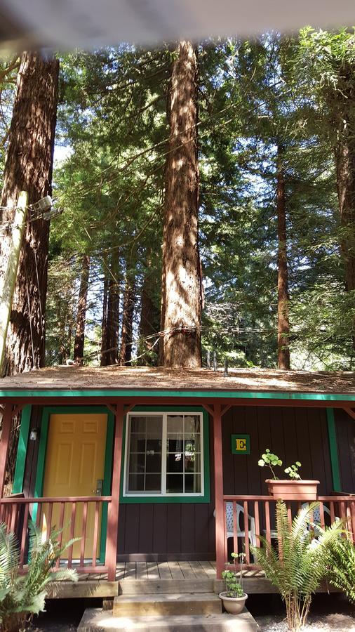 Emerald Forest Cabins Trinidad Cameră foto